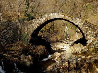 Aveyron